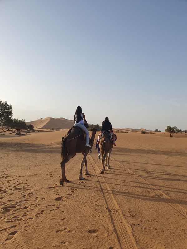 Dva jezdci na velbloudech míří ranním světlem k dunám Erg Chebbi