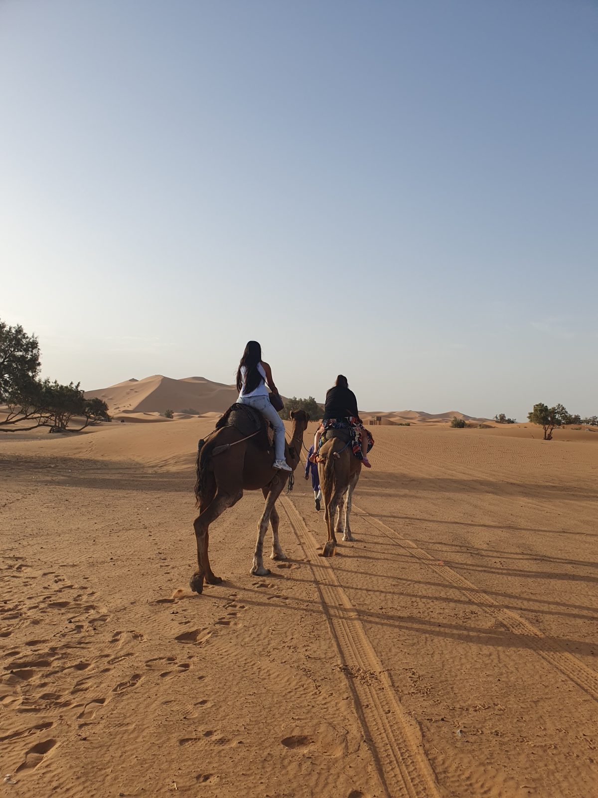 Dva jezdci na velbloudech míří ranním světlem k dunám Erg Chebbi, zabraní zezadu