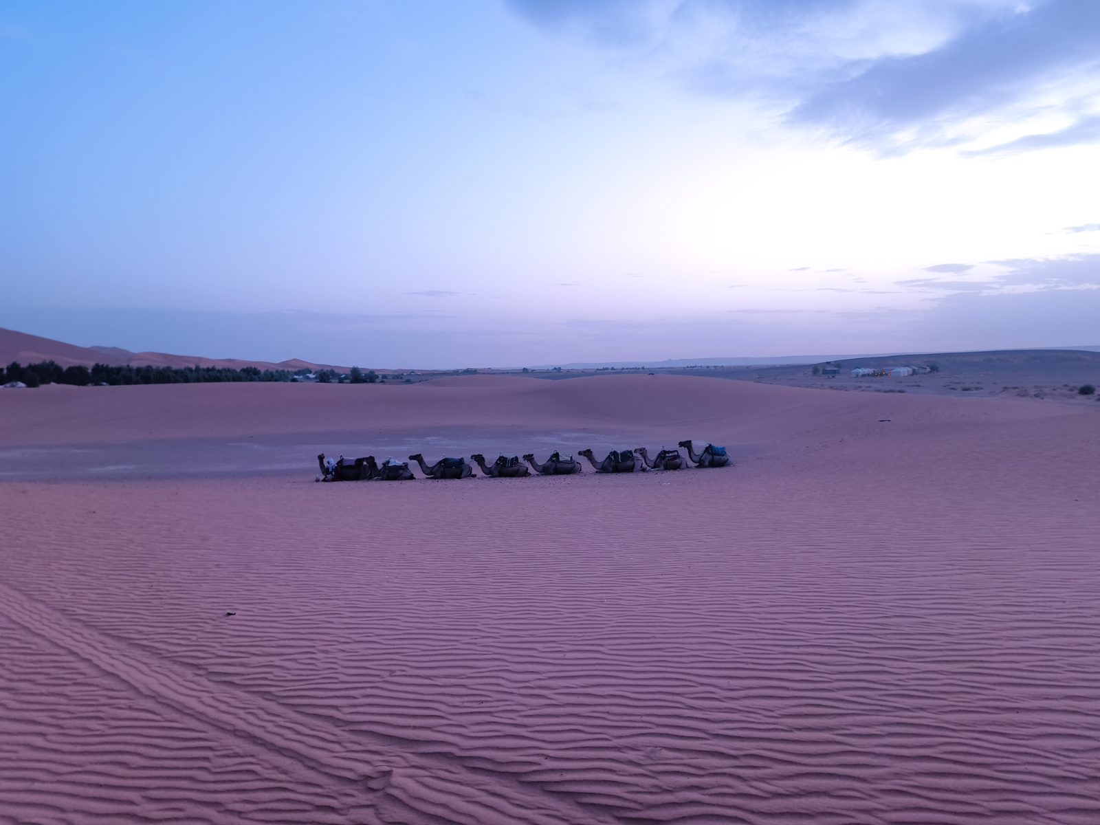 Stanový kemp mezi dunami Erg Chebbi v modré hodině, odpočívající karavana