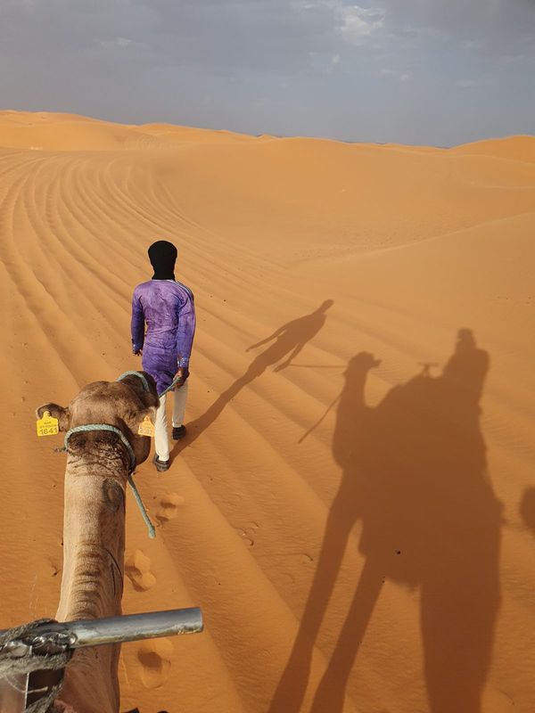 Pohled z hřbetu velblouda na duny Erg Chebbi s dlouhými stíny